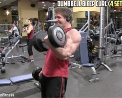 Biceps & Triceps – NO EXCUSES – Muscle Building Workout!