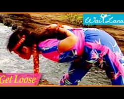 Yoga Shape-Up: Get Loose Routine- Wai Lana Yoga
