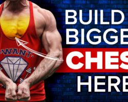 How To: Knuckle Push-Up (Bodyweight INNER CHEST Muscle Builder!)
