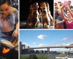 Things I do when I’m not working out! NYC Vlog!