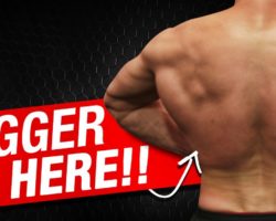 3 Back Exercises For Skinny Guys / HARDGAINERS!