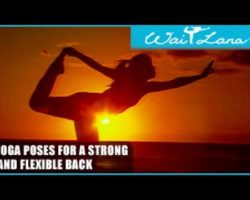 Yoga Poses for a Strong and Flexible Back: Wai Lana Yoga