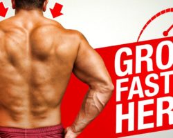 2 Exercises To Build Bigger Upper & Middle Traps FAST!