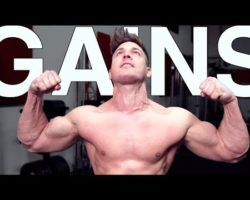 Where Did My New Gains Come From? | Honest Physique Update