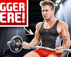 Seated Barbell Curls Build Bigger Biceps?! | DUMB OR SMART?