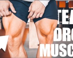 LEG DAY TRAINING – VASTUS MEDIALIS