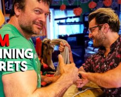We Trained Like Pro Arm Wrestler For a Day | Devon Larratt